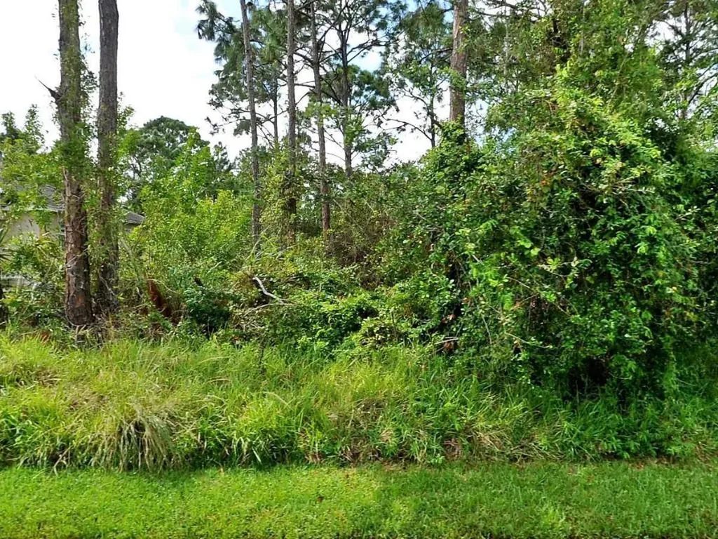 1826 SW Angelico Lane Port St Lucie FL 34984