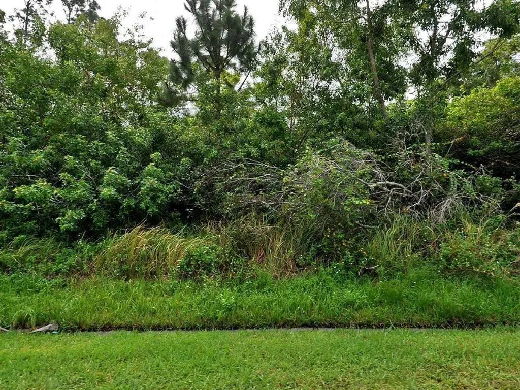 112 SW Langfield Avenue Port St Lucie FL 34984