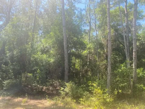 Tbd NE 155 Lane Fort Mccoy FL 32134
