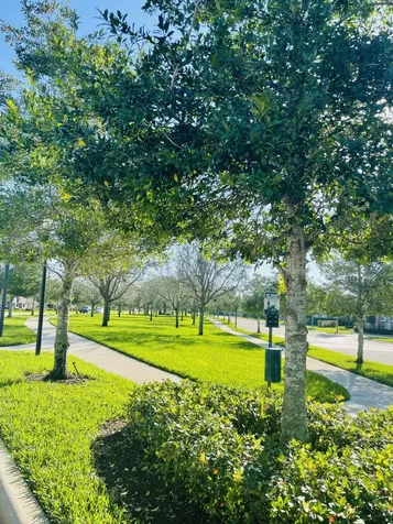 1236 Turnbridge Drive Jupiter FL 33458