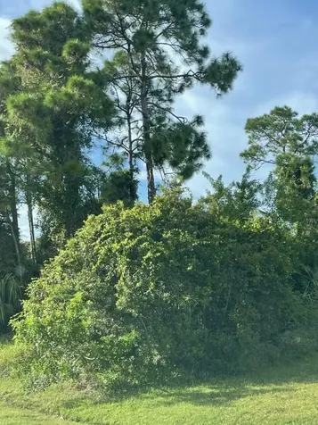 951 SW Consolata Avenue Port St Lucie FL 34953