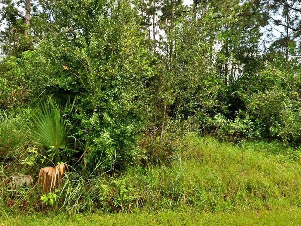 1581 SW Hibiscus Street Port St Lucie FL 34983