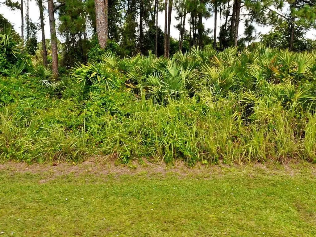 1725 SW Janette Avenue Port St Lucie FL 34953
