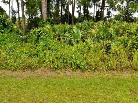 1725 SW Janette Avenue Port St Lucie FL 34953