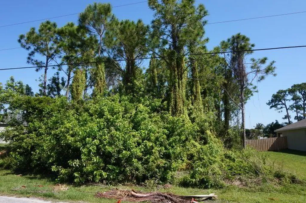 717 SE Lansdowne Avenue Port St Lucie FL 34983