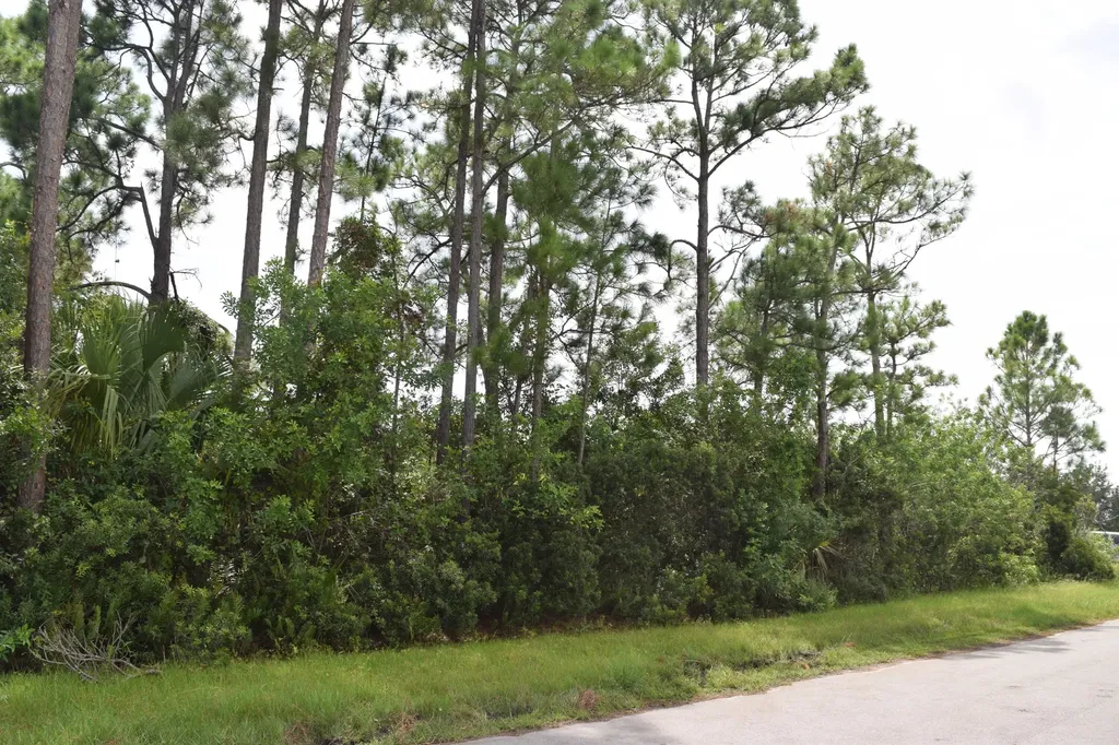 1262 SW Santiago Avenue Port St Lucie FL 34953