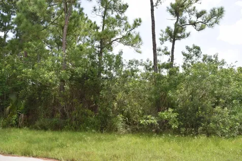 1258 SW Santiago Avenue Port St Lucie FL 34953