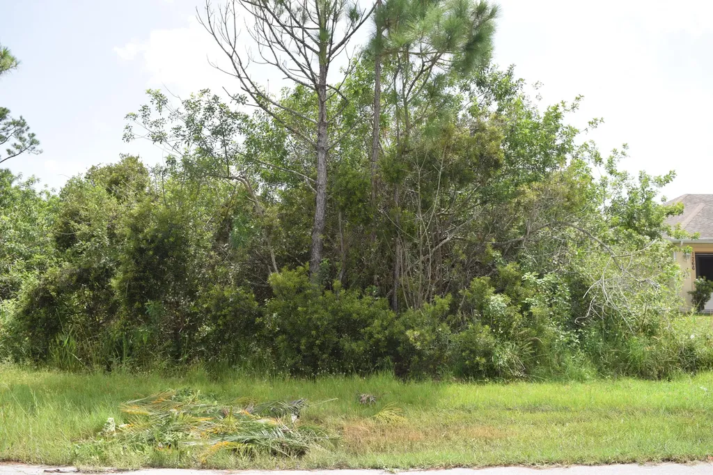 1254 SW Santiago Avenue Port St Lucie FL 34953