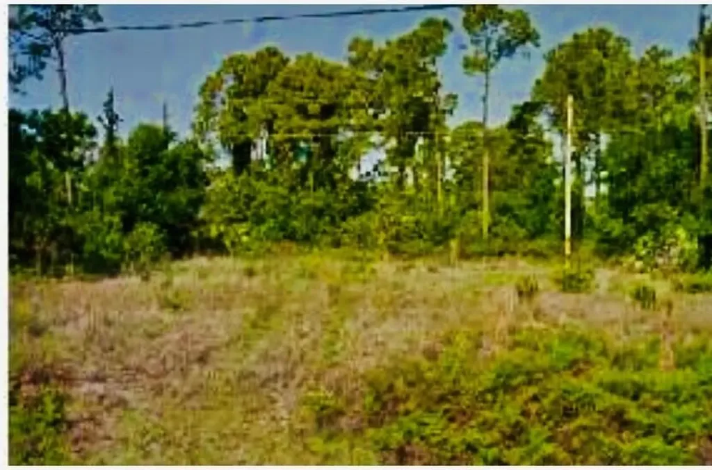 1674 SW California Boulevard Port St Lucie FL 34953