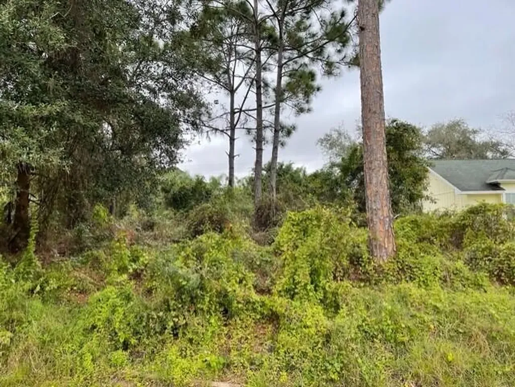 1561 SW Nervia Avenue Port St Lucie FL 34953
