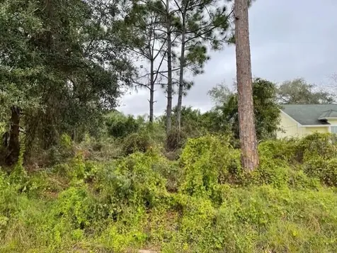 1561 SW Nervia Avenue Port St Lucie FL 34953