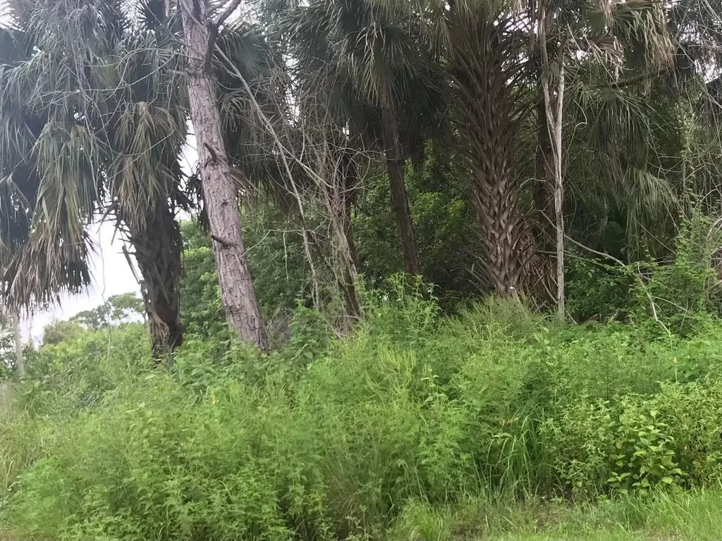 2219 SE Mariposa Avenue Port St Lucie FL 34952