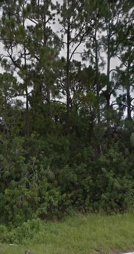 833 Americana Boulevard NE Palm Bay FL 32907