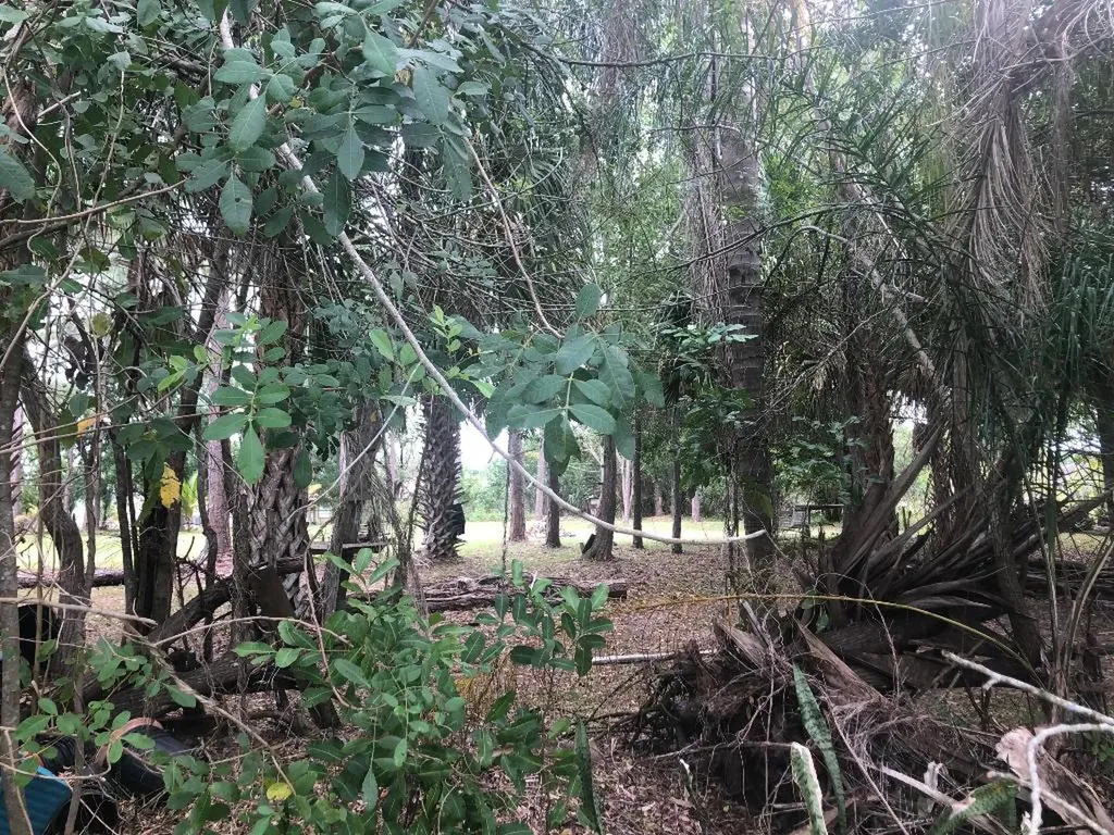 765 NE Lanfair Street Port St Lucie FL 34983