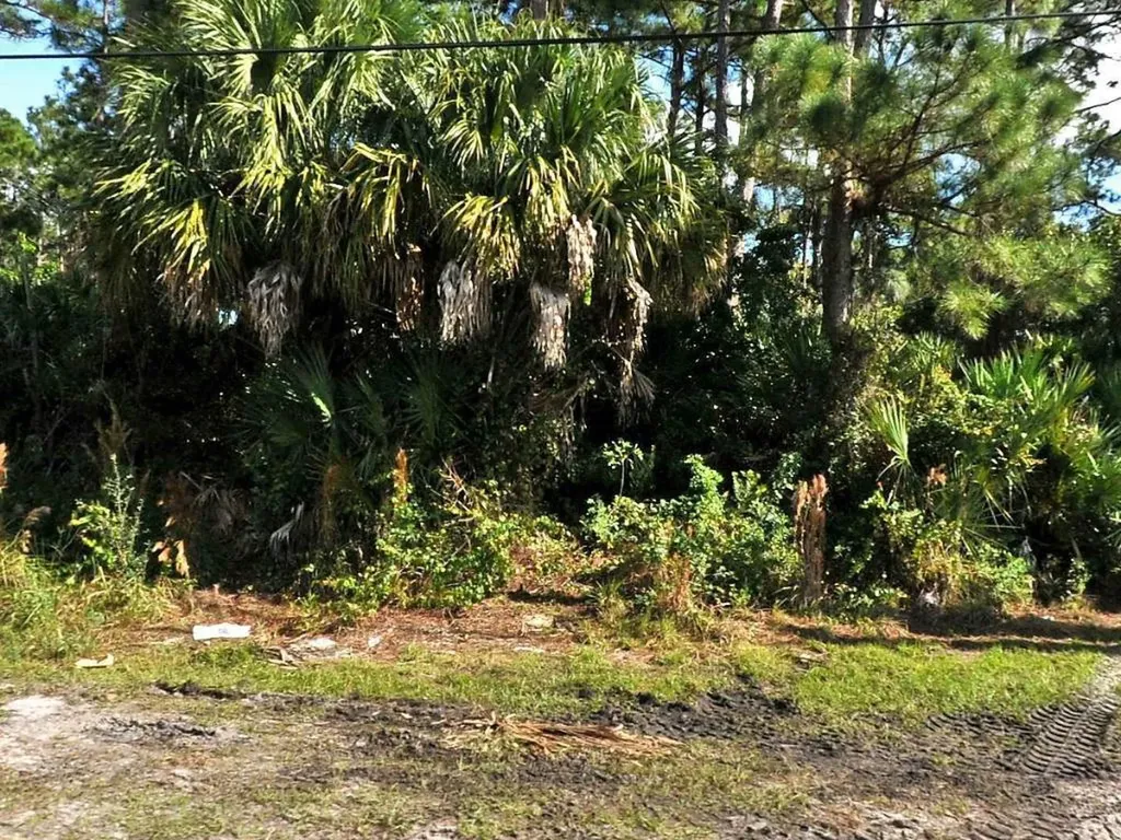 3437 SW Rosser Boulevard Port St Lucie FL 34953