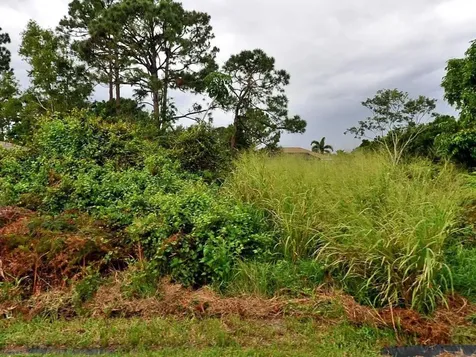2066 SE Wald Street Port St Lucie FL 34984