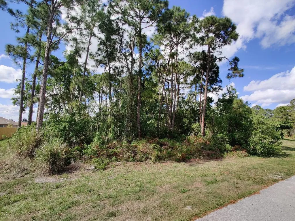 1311 SW Kapok Avenue Port St Lucie FL 34953