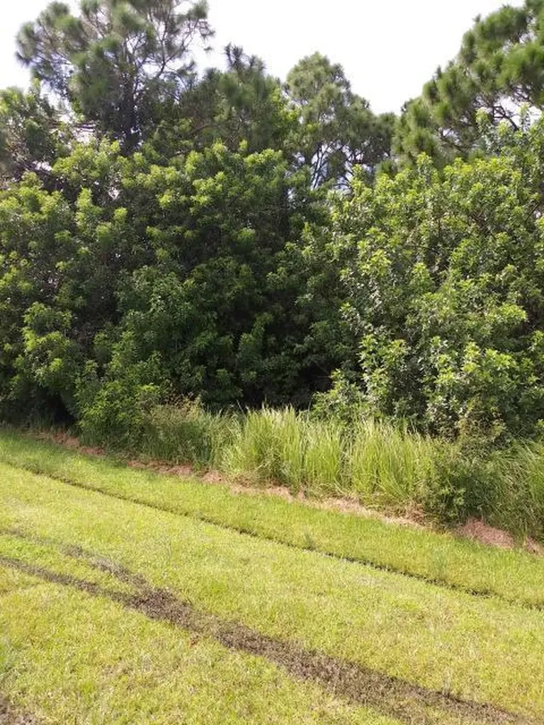 1018 SW John Maccormack Terrace Port St Lucie FL 34953