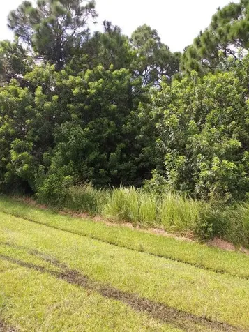 1018 SW John Maccormack Terrace Port St Lucie FL 34953