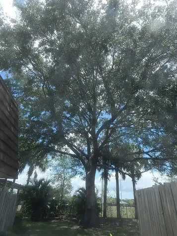 1017 10th Lane Palm Beach Gardens FL 33418