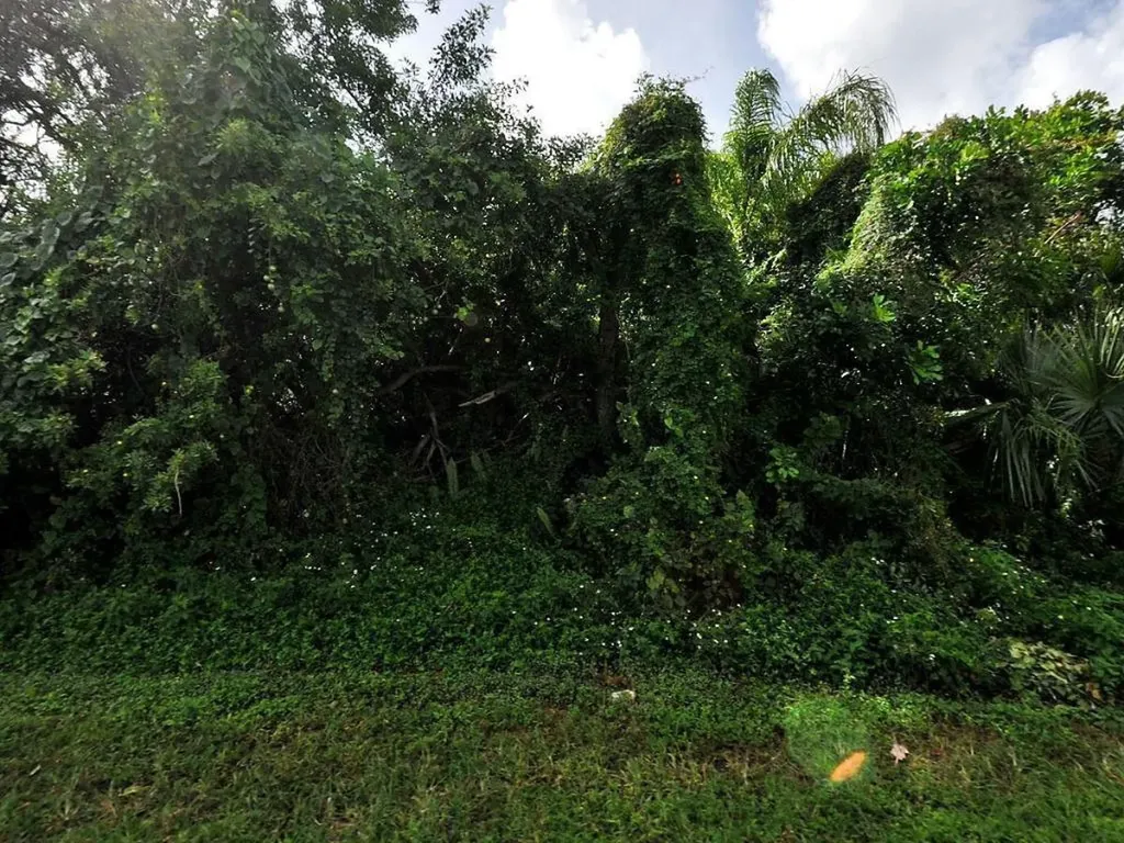 266 SW Glenwood Drive Port St Lucie FL 34984