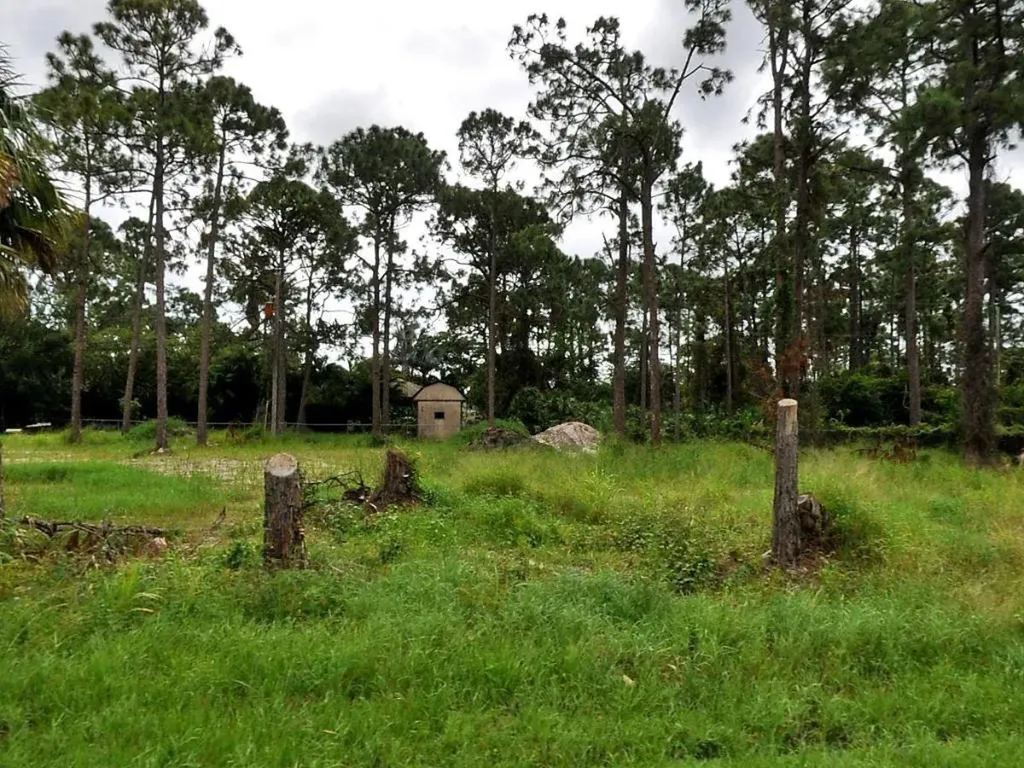 1952 SW Delmonico Avenue Port St Lucie FL 34953