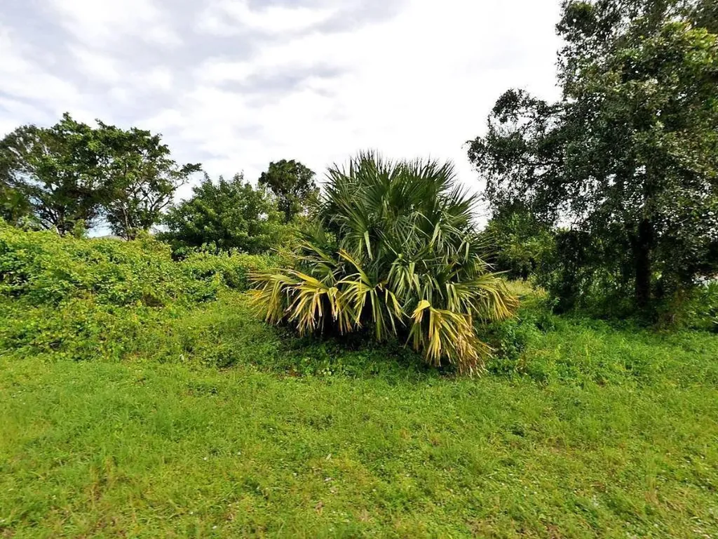 2443 SW Monterrey Lane Port St Lucie FL 34953