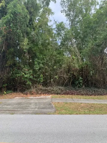 6623 SE Lillian Court Stuart FL 34997