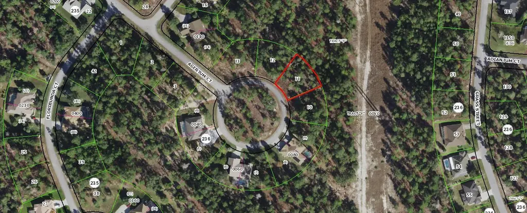 27 Ageratum Court Homosassa FL 34446
