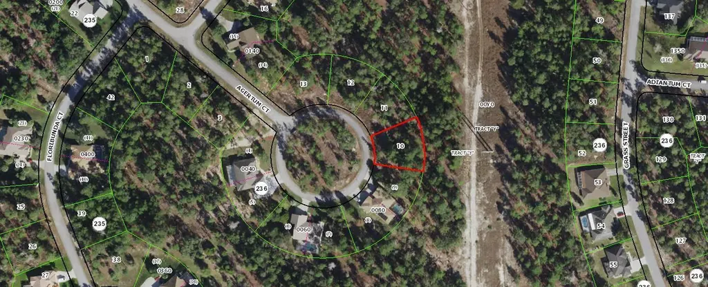 29 Ageratum Court Homosassa FL 34446