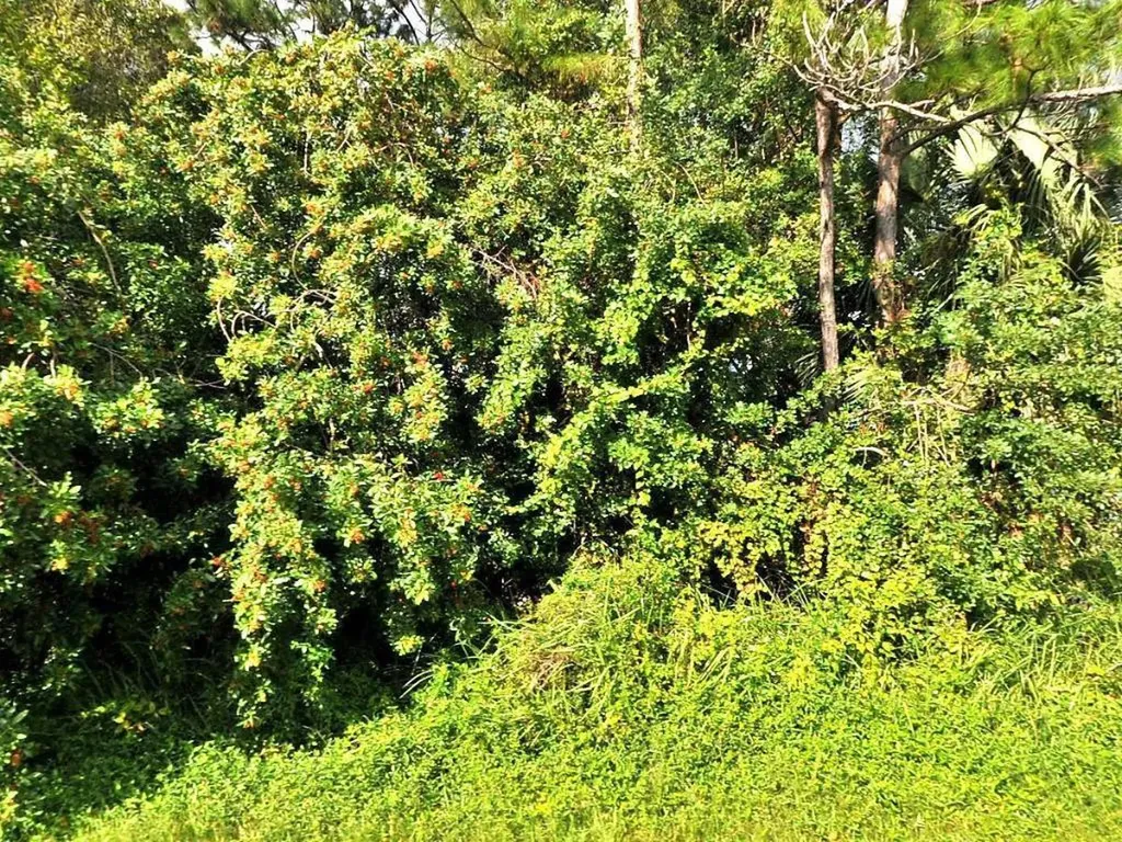 1225 SW Bargello Avenue Port St Lucie FL 34953