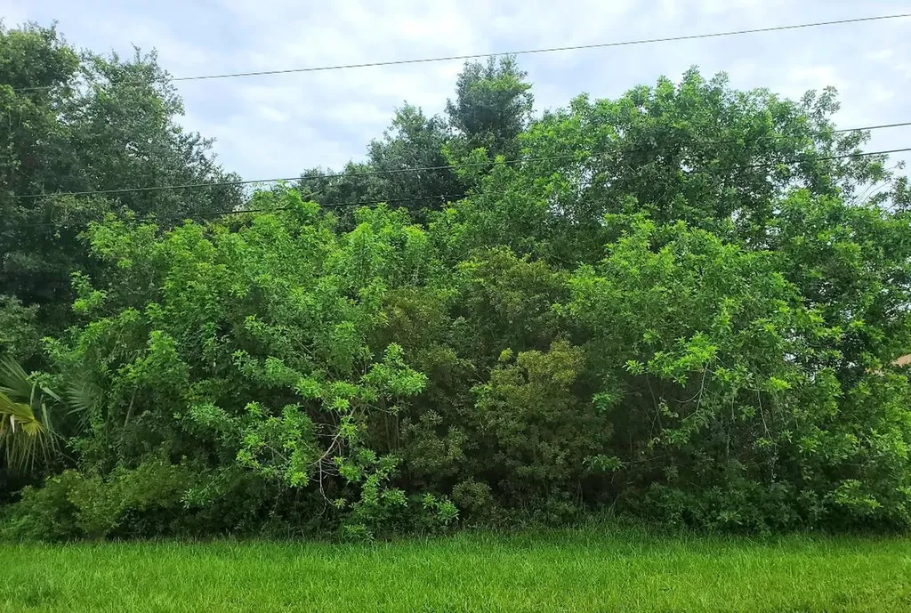 353 SW Log Drive Port St Lucie FL 34953