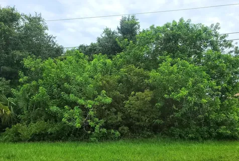 353 SW Log Drive Port St Lucie FL 34953
