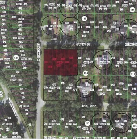 3826 E Dano Street Inverness FL 34453