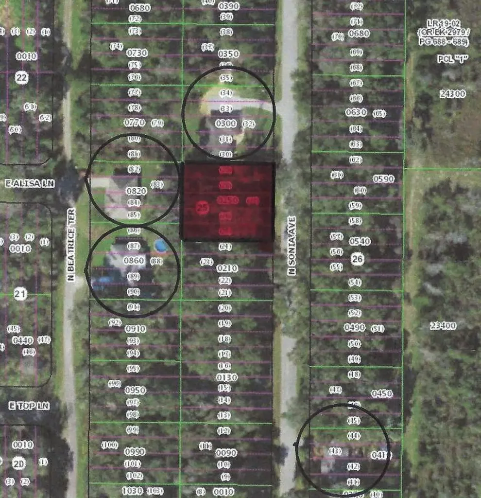 972 N Sonia Avenue Inverness FL 34453