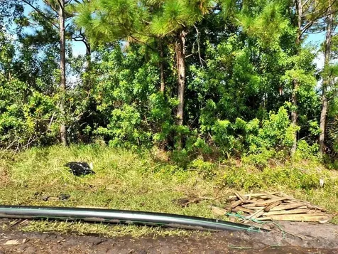 2473 SE Melaleuca Boulevard Port St Lucie FL 34952