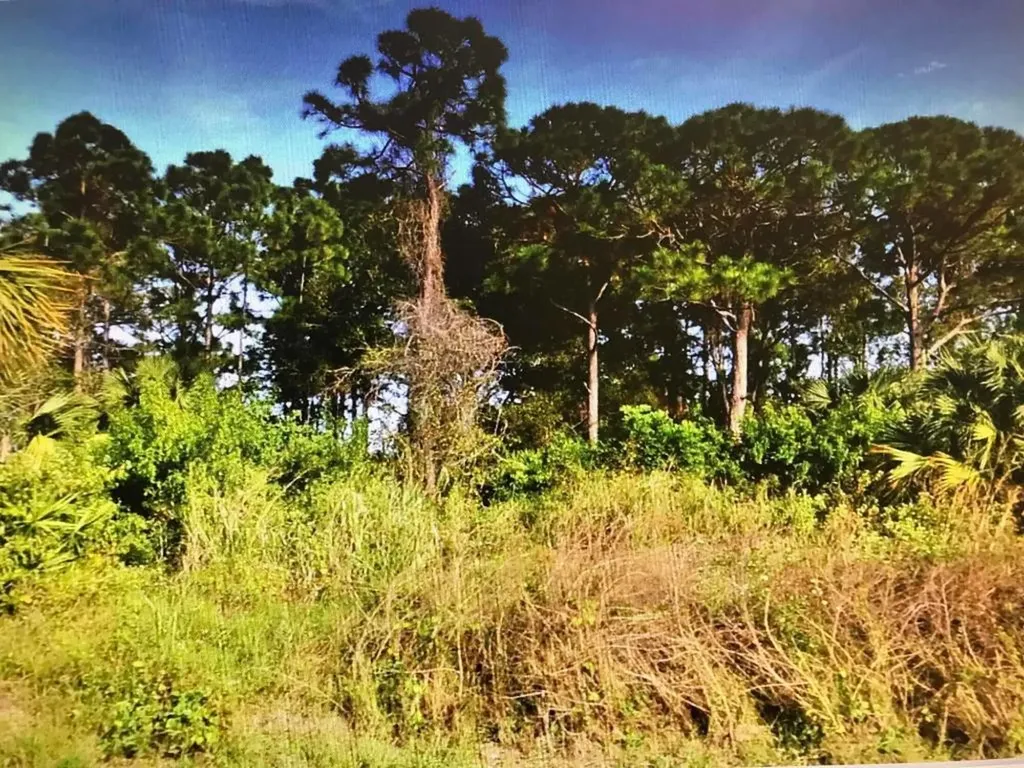 691 NW Selvitz Road Port St Lucie FL 34983