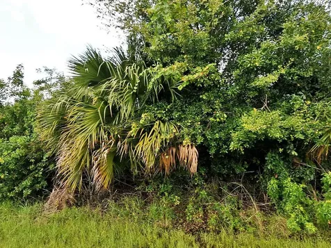 1561 SW Mullinax Avenue Port St Lucie FL 34953