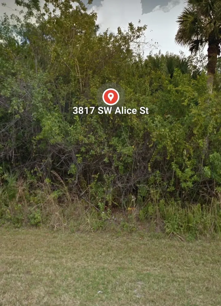 3817 SW Alice Street Port St Lucie FL 34953