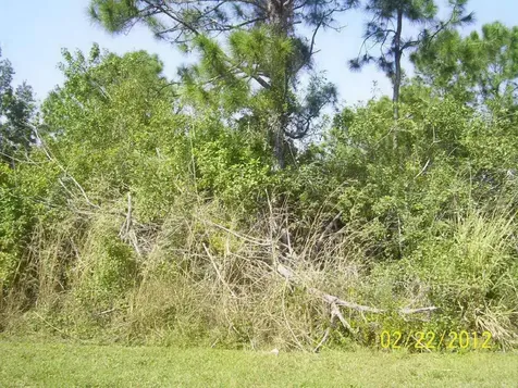 183 SW Thornhill Drive Port St Lucie FL 34984