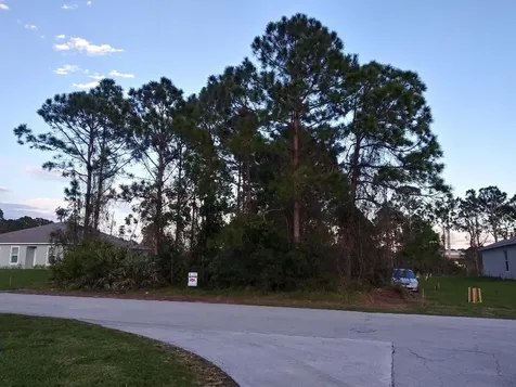 3111 SW Briggs Street Port St Lucie FL 34953