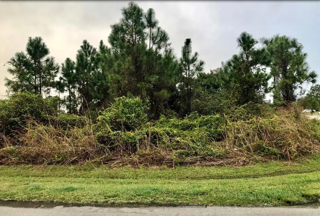 1873 SW Millikin Avenue Port St Lucie FL 34953