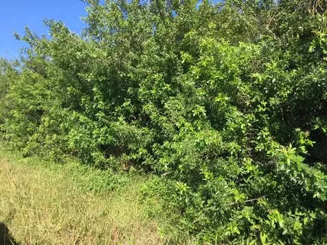 7830 92nd Court Vero Beach FL 32967