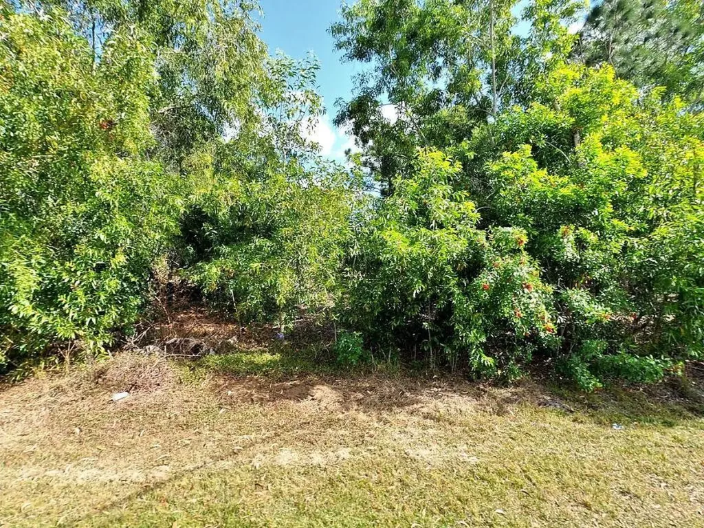 6529 NW Omega Road Port St Lucie FL 34983