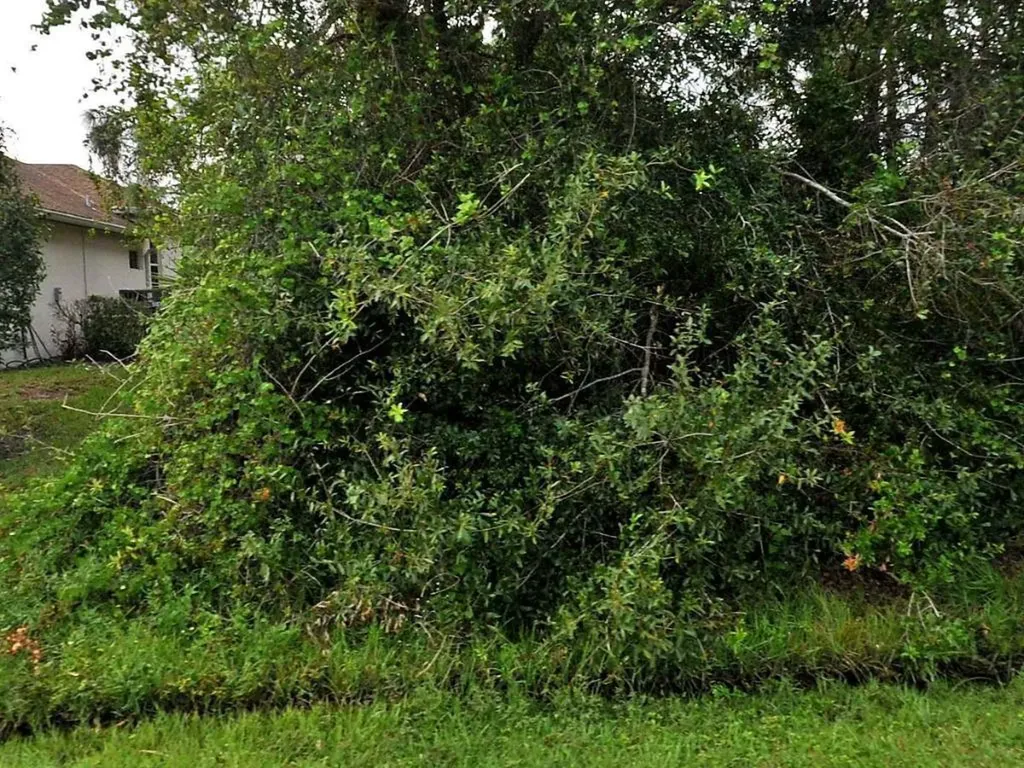 1926 SW Day Street Port St Lucie FL 34953