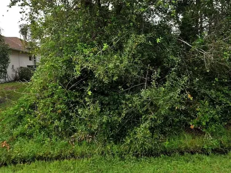 1926 SW Day Street Port St Lucie FL 34953