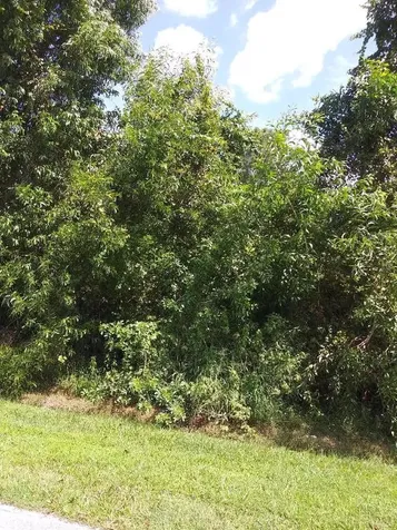 443 NW Sherbrooke Avenue Port St Lucie FL 34983