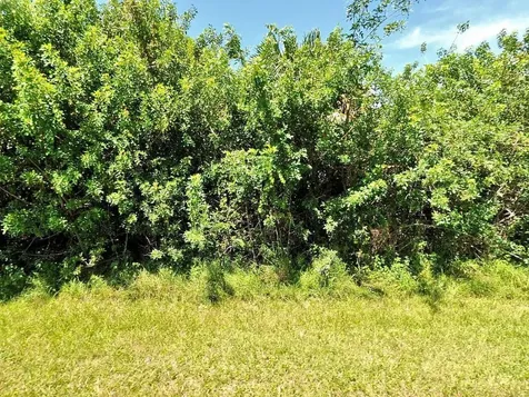 183 SW Felix Avenue Port St Lucie FL 34953