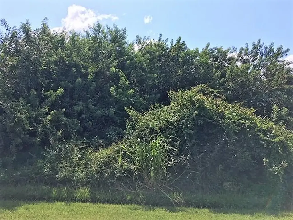 816 SW Bellevue Avenue Port St Lucie FL 34953