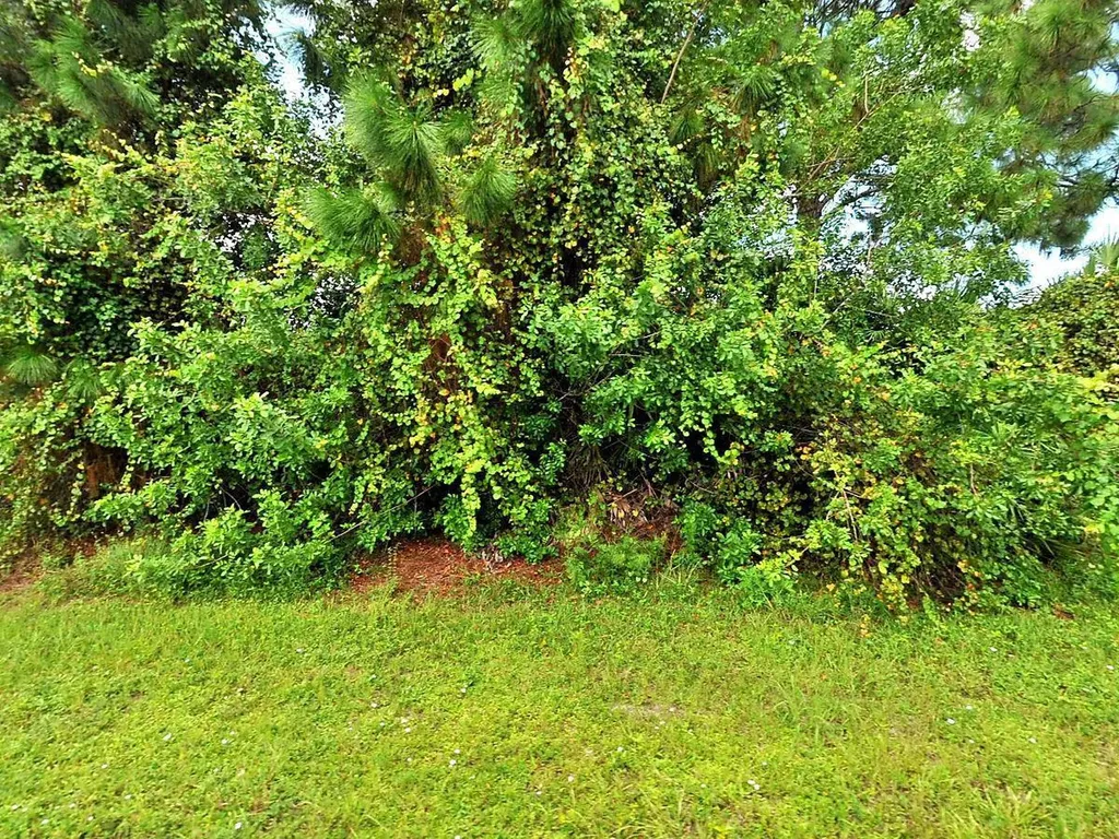 4282 SW Mcclellen Street Port St Lucie FL 34953